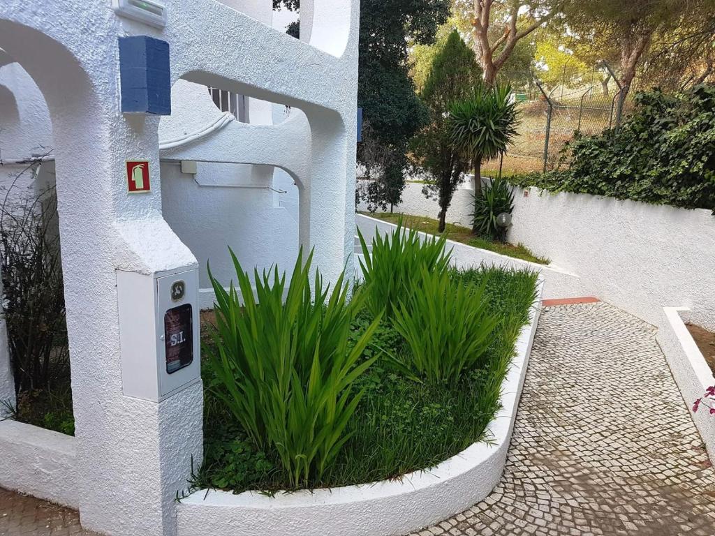 Студио (Стандартный номер-студио), Apartamentos Turisticos Soldoiro