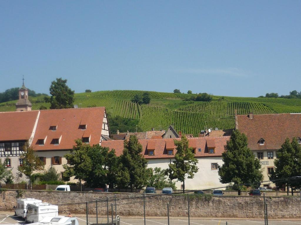 Chambres D'hotes Du Vignoble photo 4