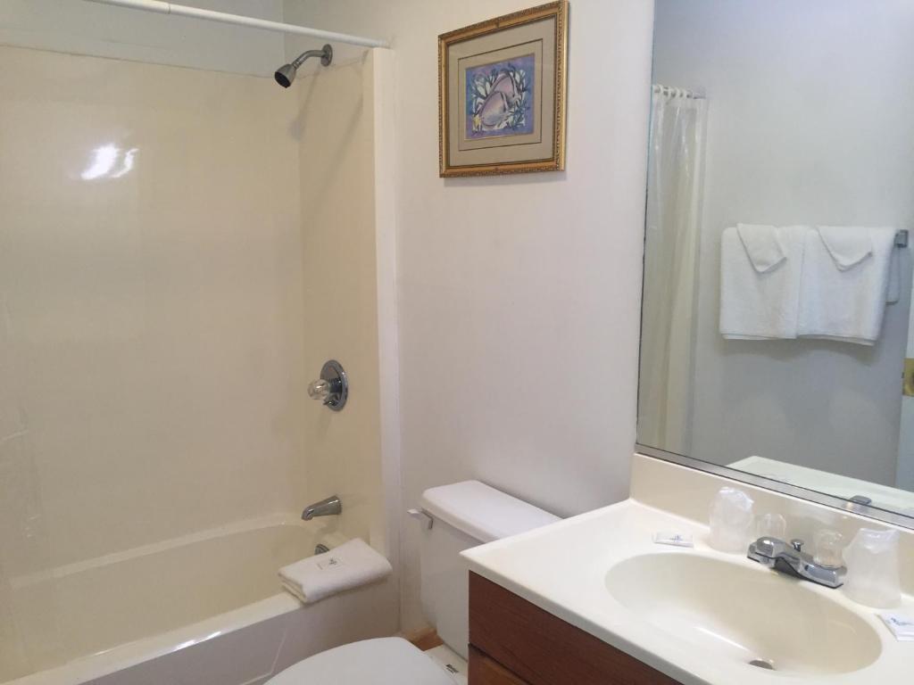 Ocean Cove Motel photo 4