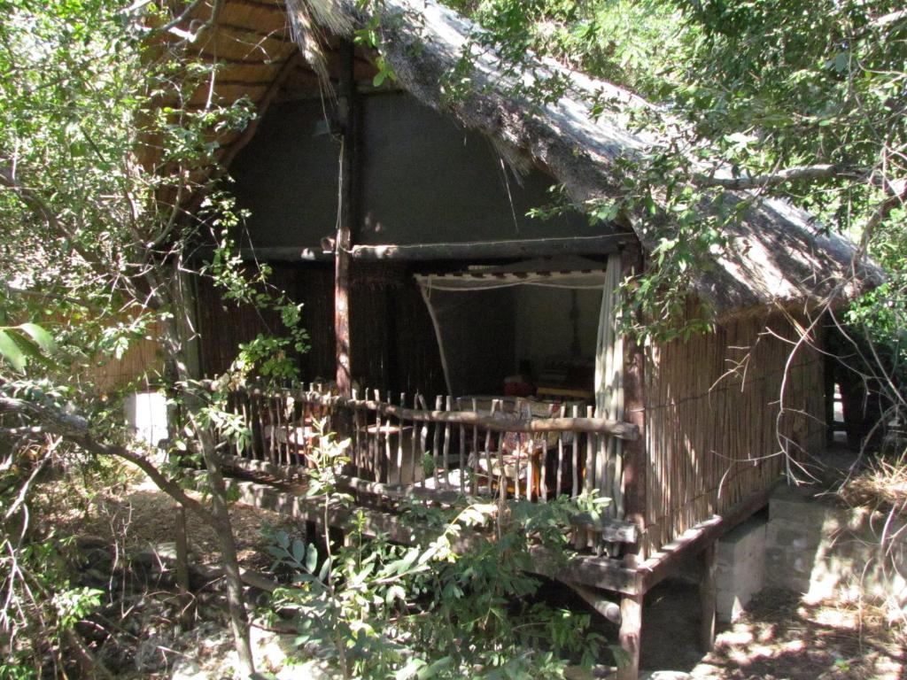 Caprivi Houseboat Safari Lodge photo 4