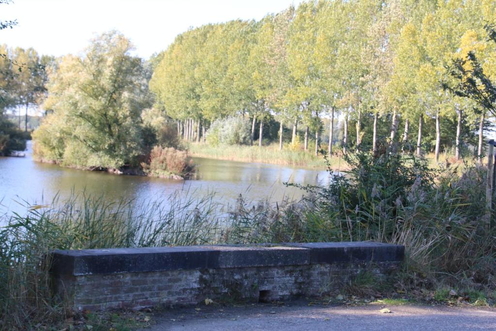 BBMalpertuus photo 2