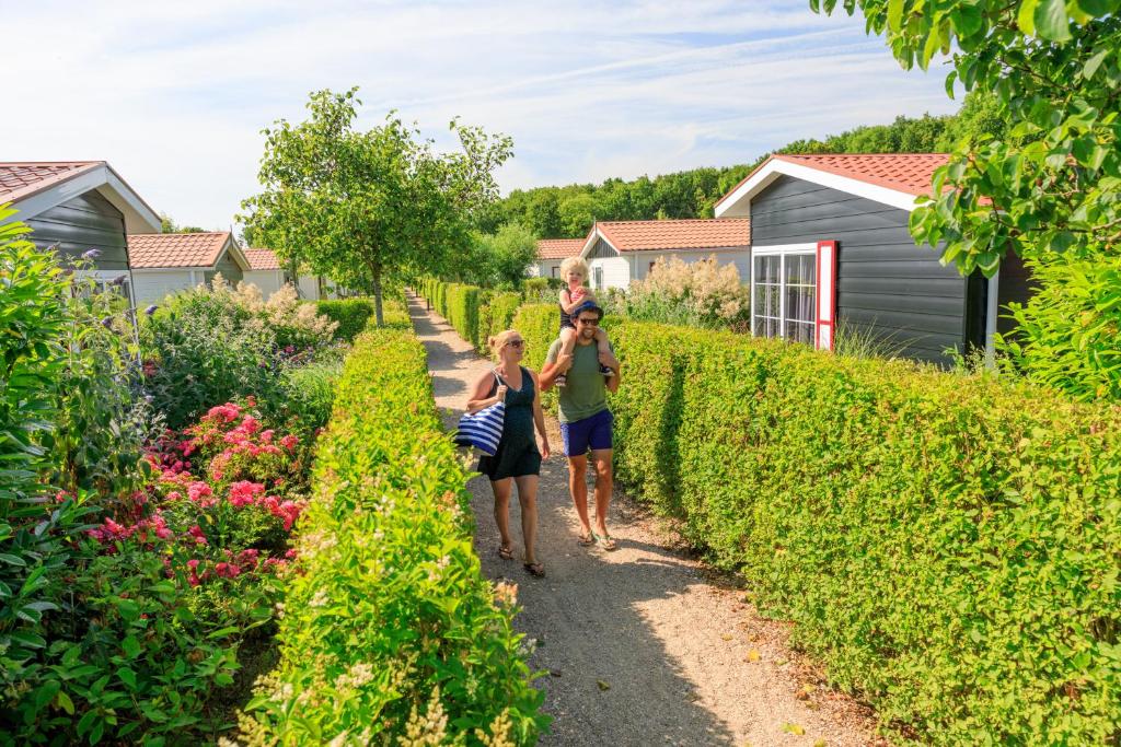 Vakantiepark de Meerpaal photo 3
