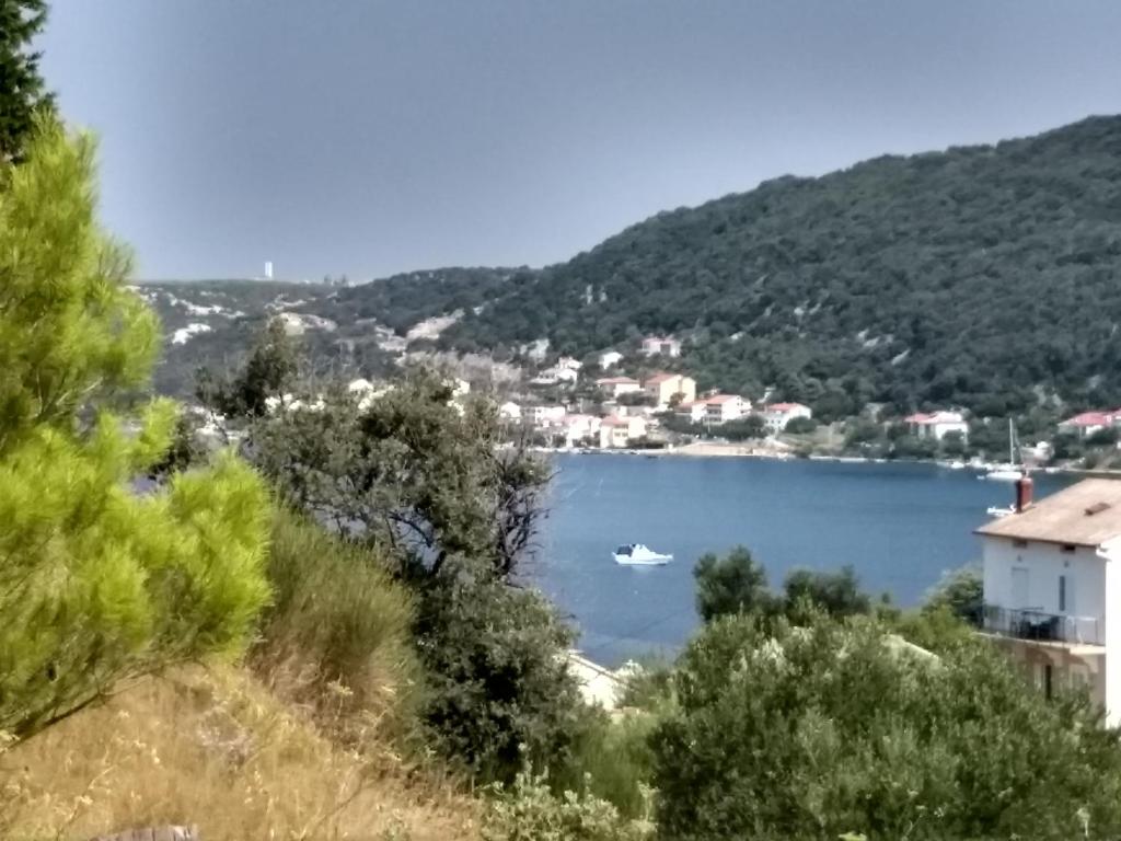 Apartman Tariba