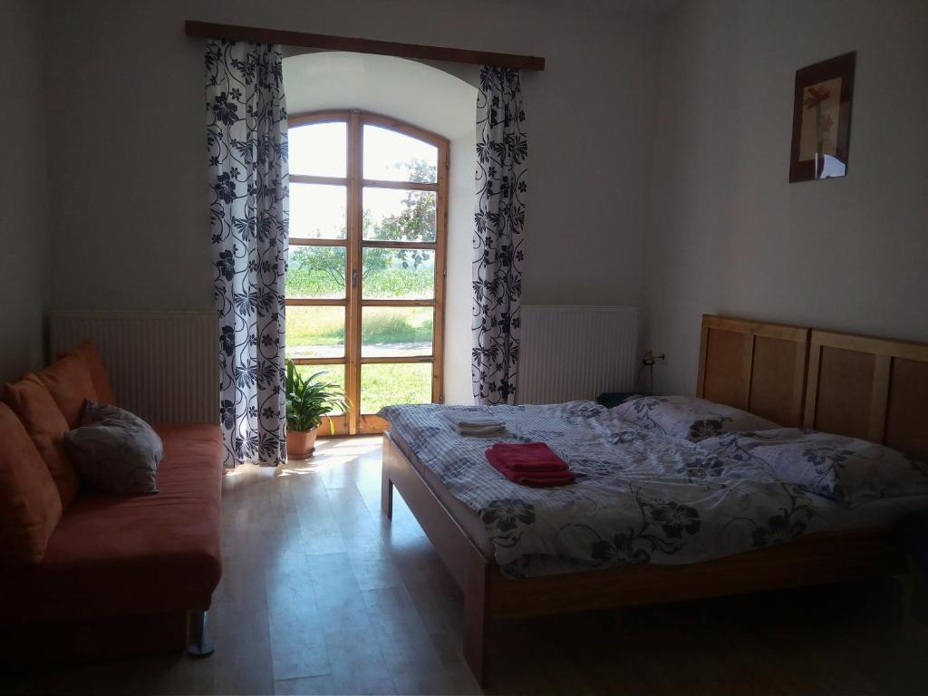 Dvůr v Borovné photo 4
