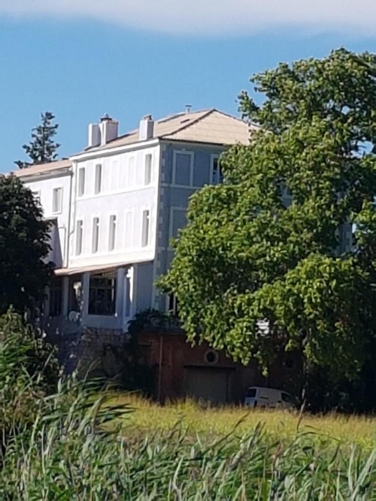 Domaine Saint Dominique photo 3