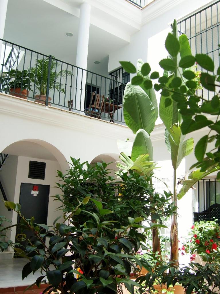 Casa Atlantica photo 2