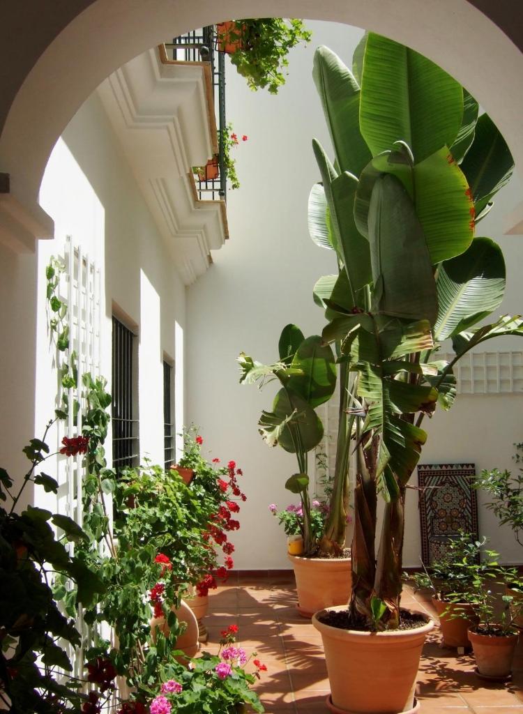 Casa Atlantica photo 3