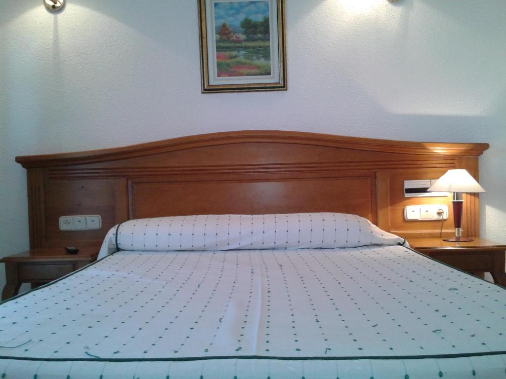 Hotel El Gamo photo 1