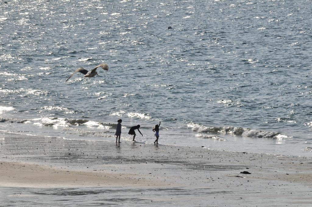 Le Braz Saint Lunaire photo 2