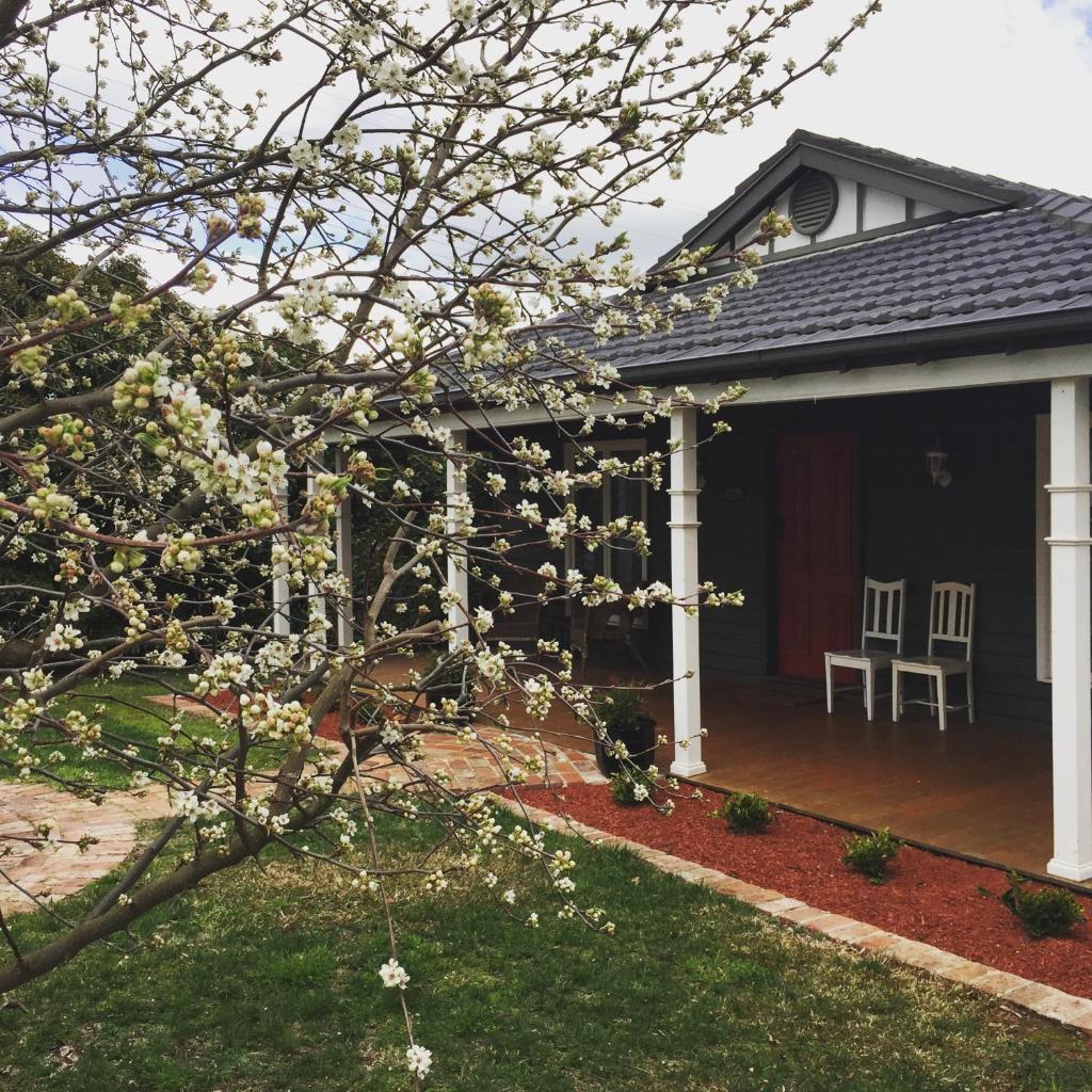 Pomegranate Guest House photo 3