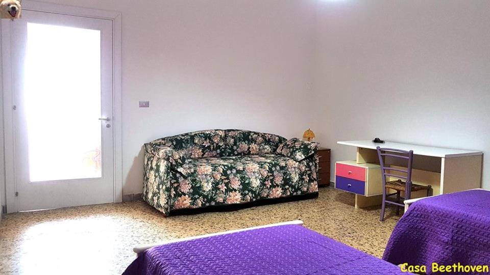La casa di Beethoven photo 1
