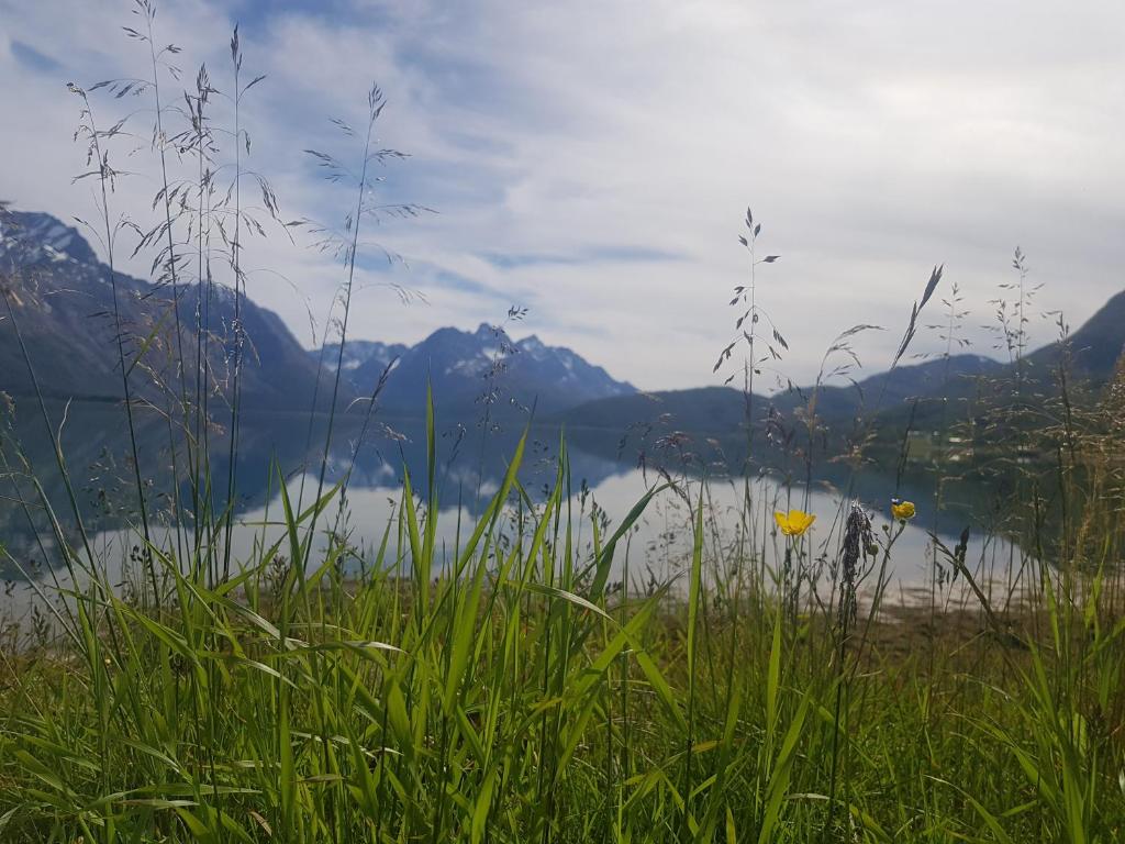 Sjursnes Fjordferie photo 3