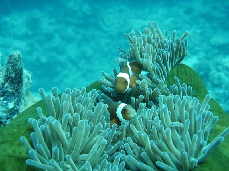 NHÀ NGHỈ QUỲNH ANH 