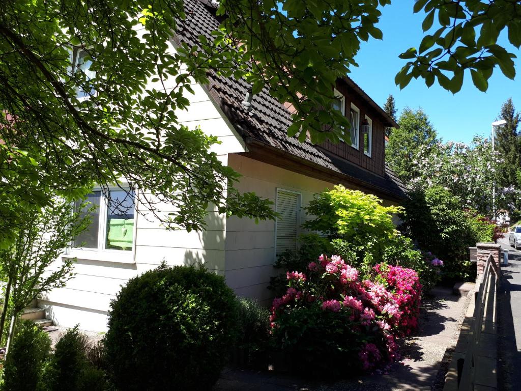 Rottgarten photo 3