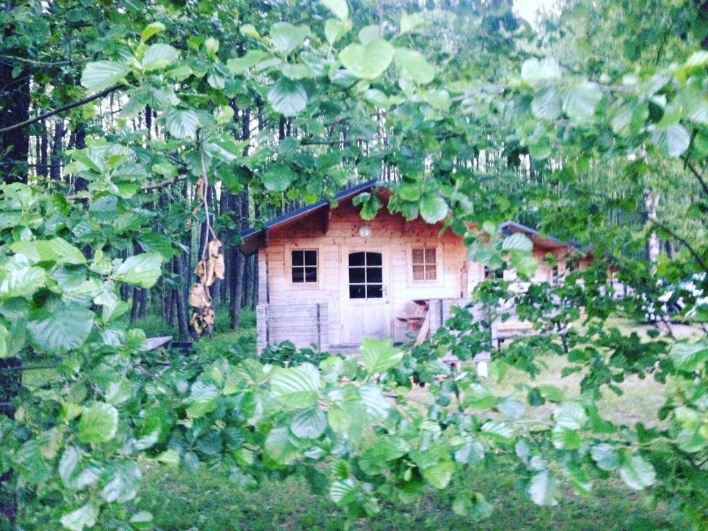 Bukdangas photo 1