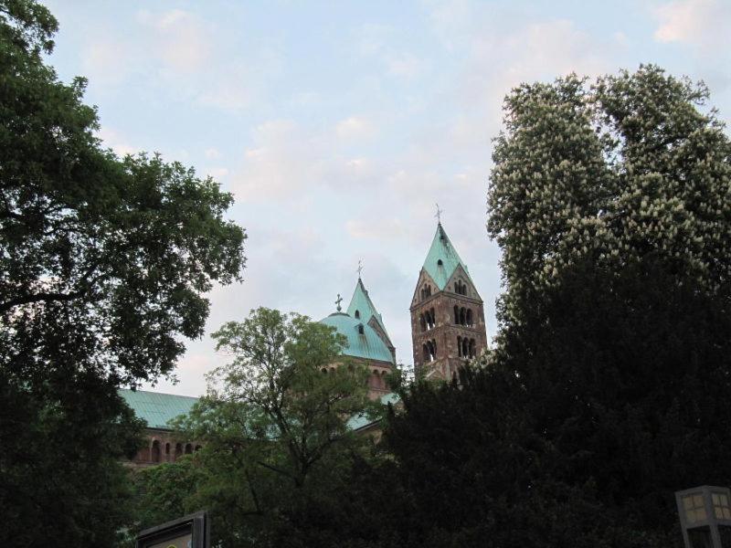Zwischen-Rhein-und-Reben, zentral, barrierefrei photo 2