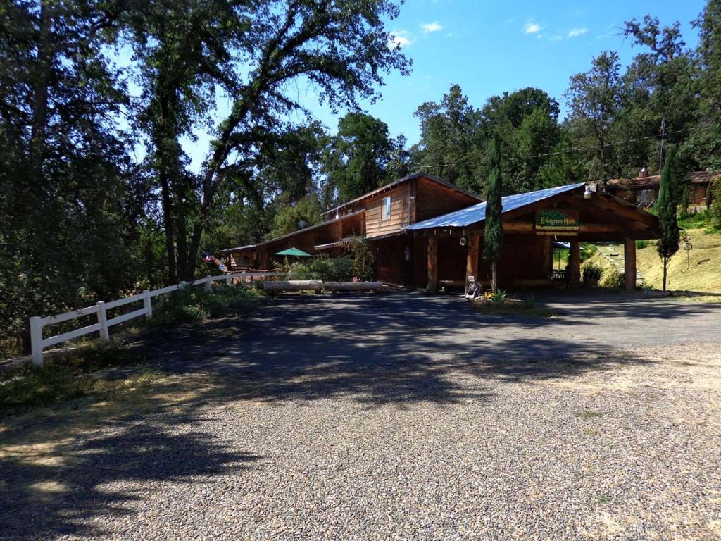 Evergreen Haus photo 4