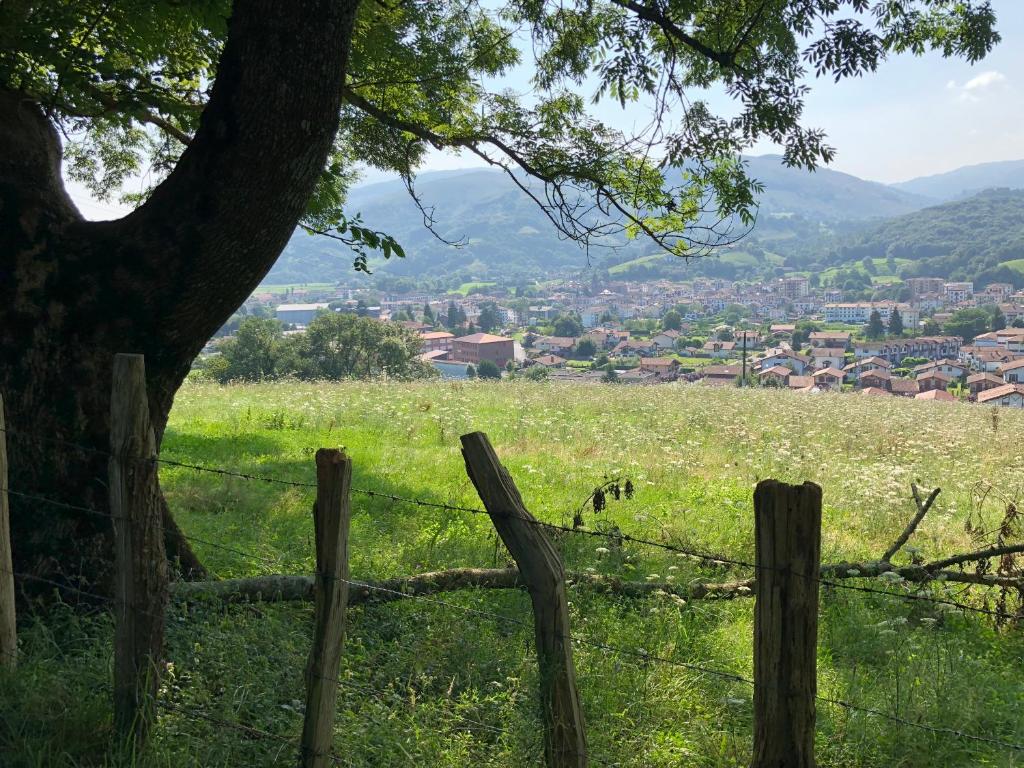 Zubitarte photo 4