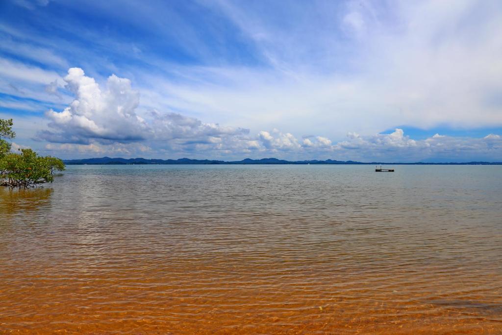 Amber Sands Beach Resort photo 3