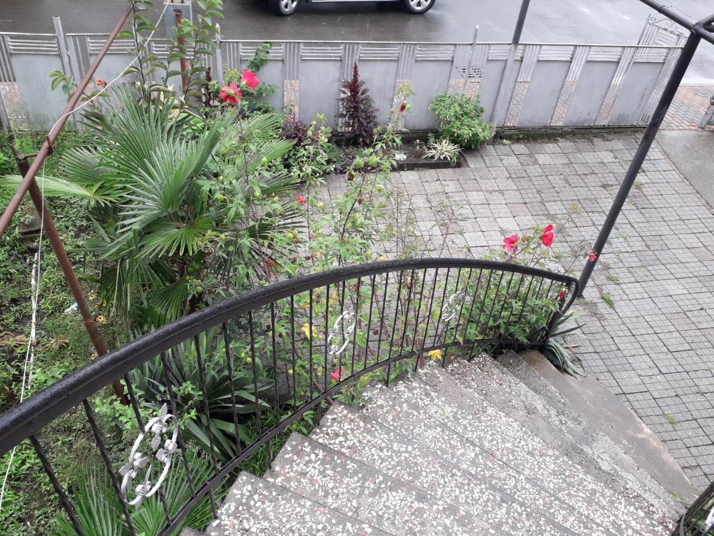 kobuleti bagrationi 40 photo 1