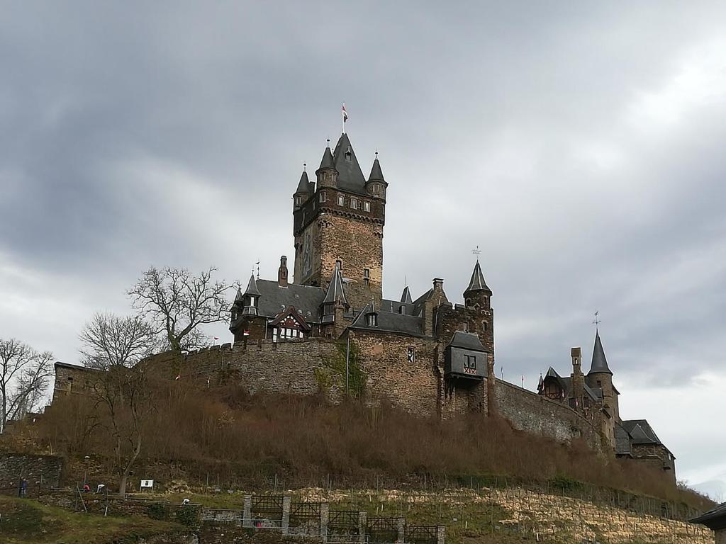 Mosel Dream photo 2