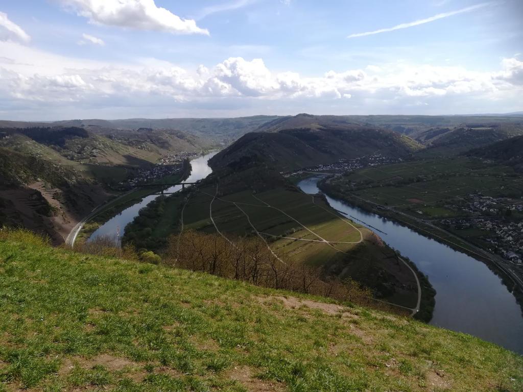 Mosel Dream photo 1
