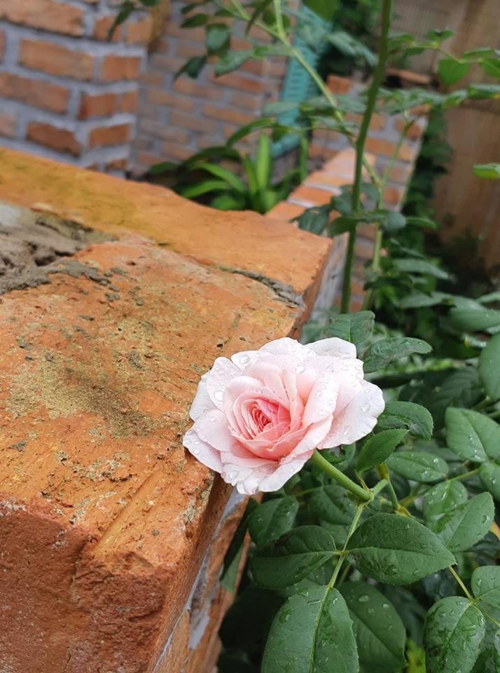 Nam Thi Holiday Home