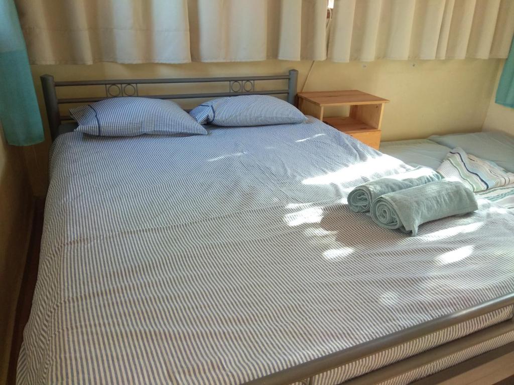 Desert Peace photo 3