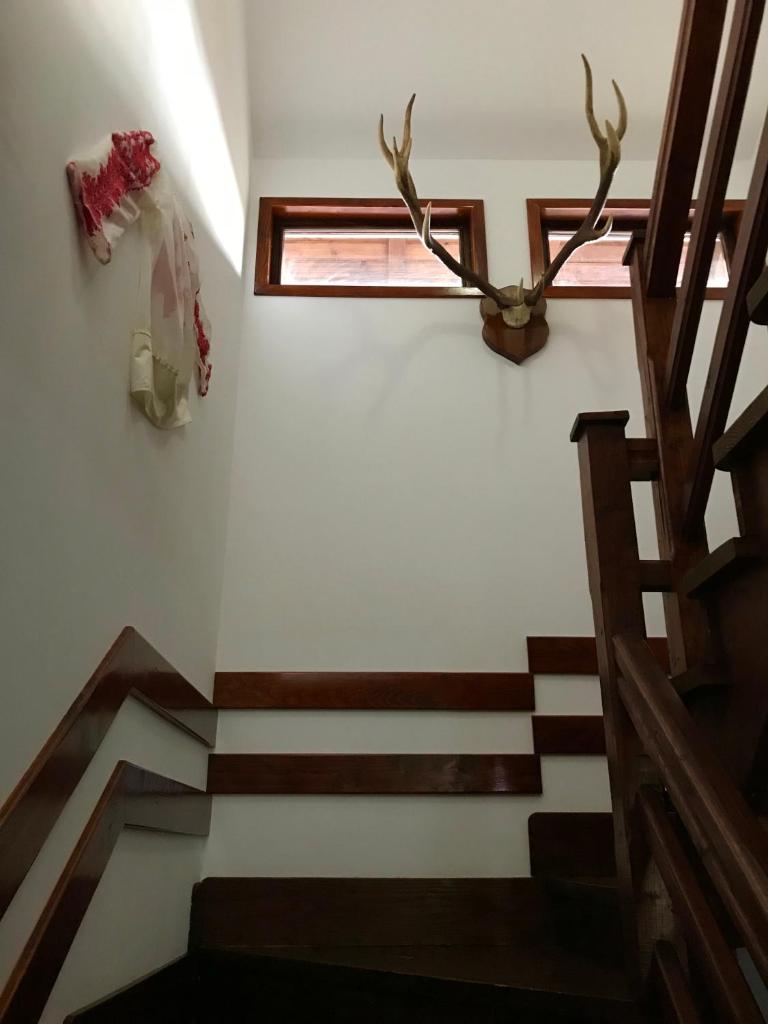 Вилла (Вилла с 5 спальнями), Cabana Valea Floreiului