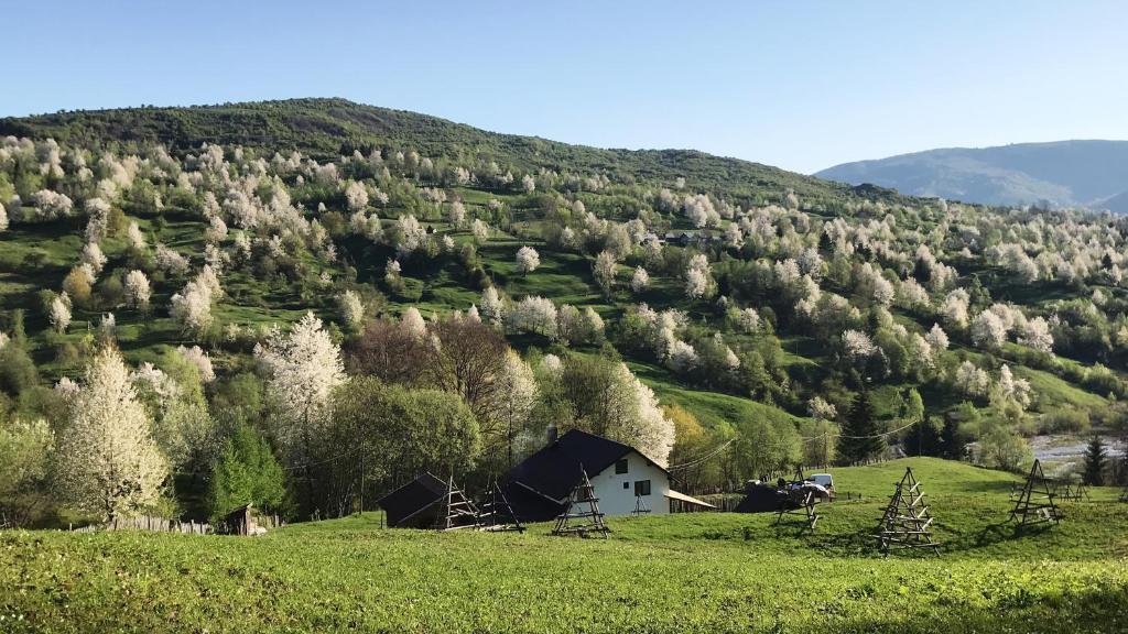 Вилла (Вилла с 5 спальнями), Cabana Valea Floreiului
