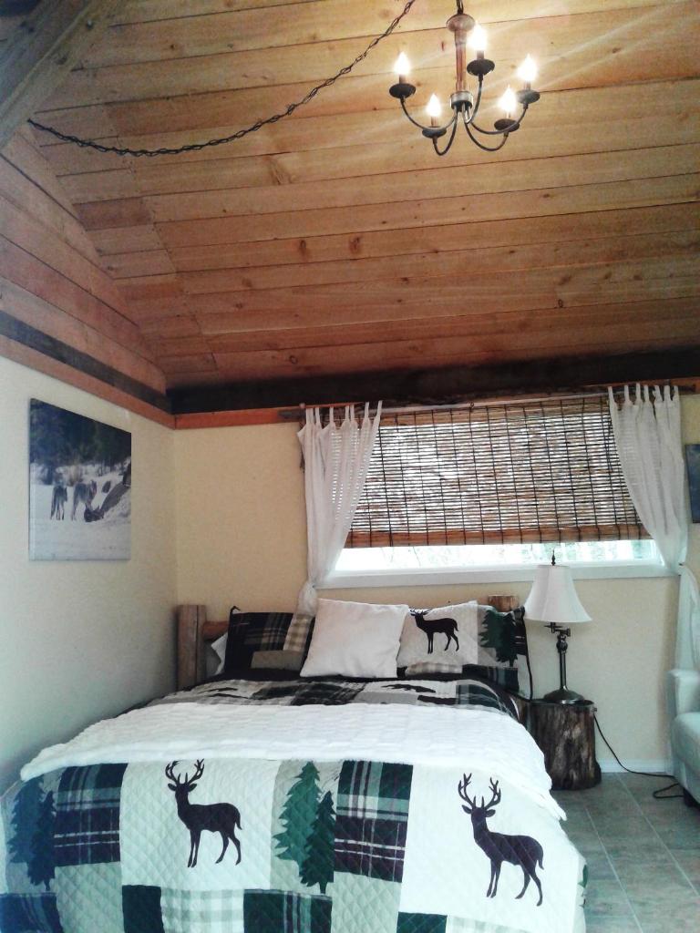 Eagle Bear Lodge photo 3