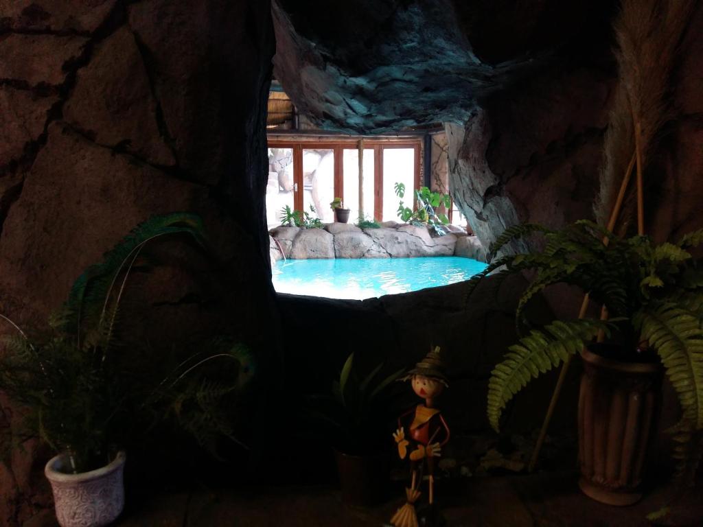 Pride Rock Accommodation photo 3