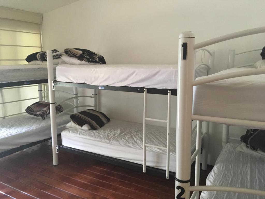 Номер (Кровать в общем номере для мужчин), Hostal Cuija Coyoacan
