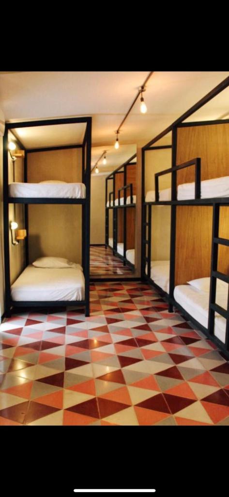 Номер (Общий номер для женщин), Moloch Hostel & Suites