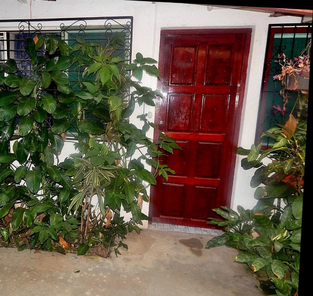 Rositas Hotel photo 2