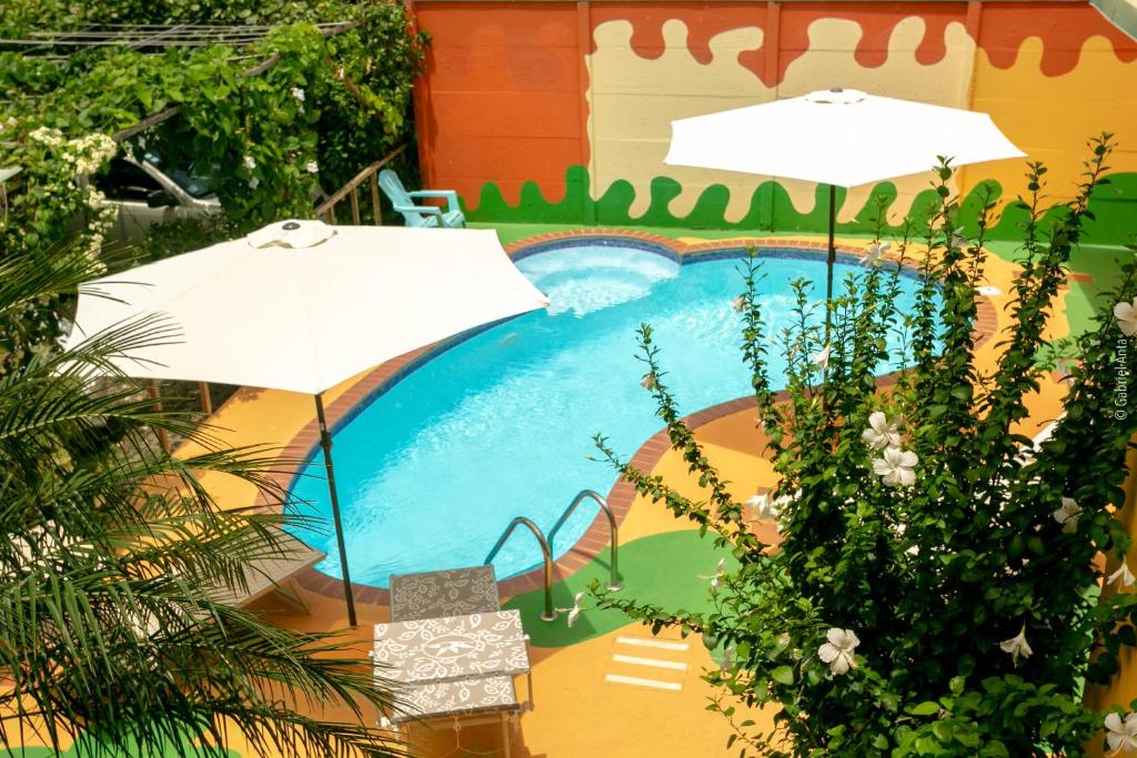 Hotel Boutique La Casa de las Flores photo 1