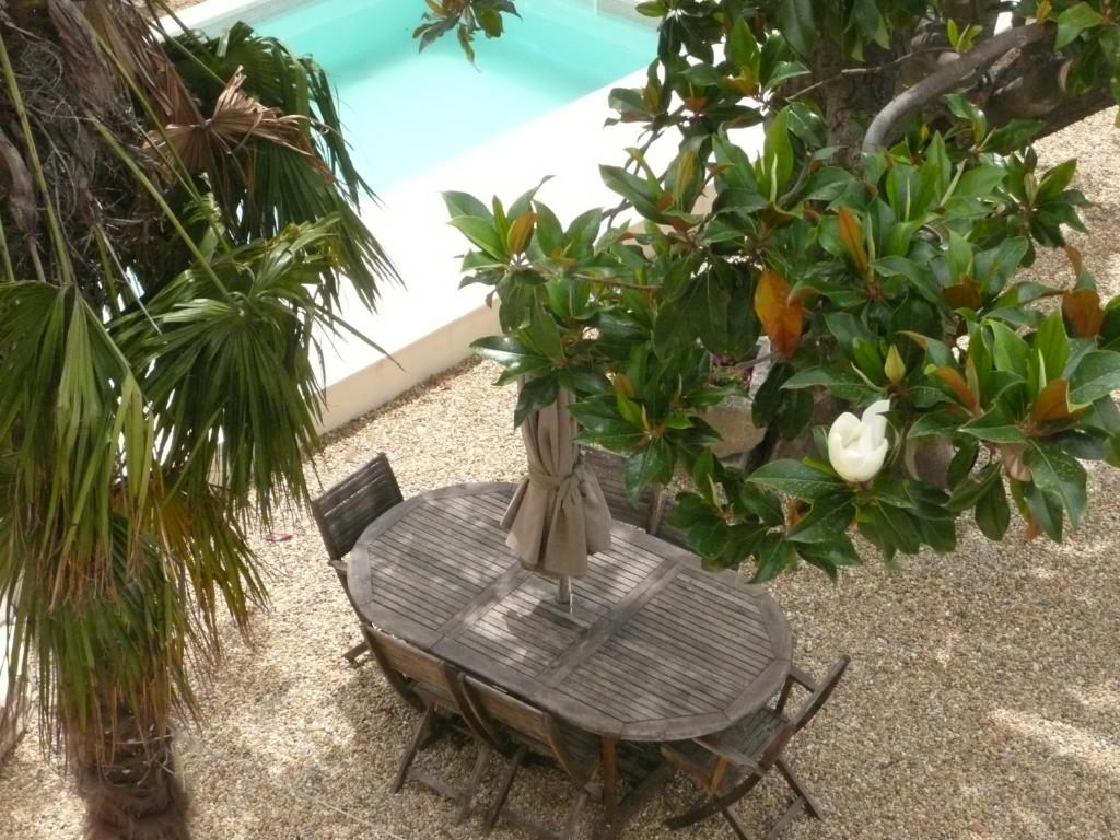 Clos du Magnolia photo 2