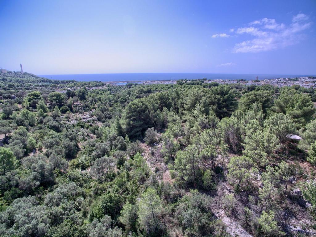 La Macchia photo 3