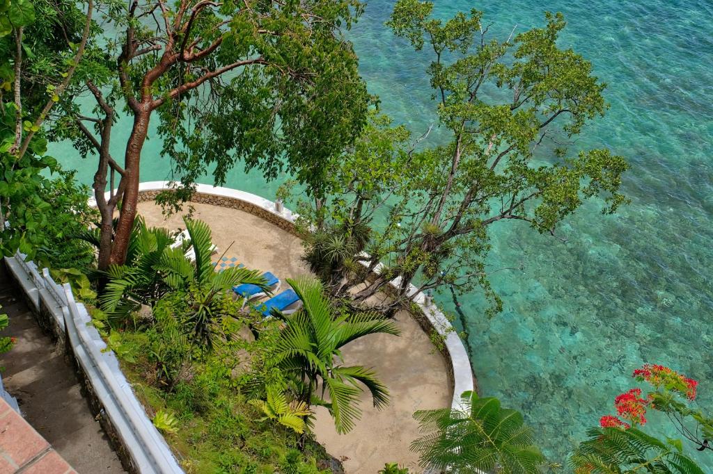 Hibiscus Lodge Hotel photo 4