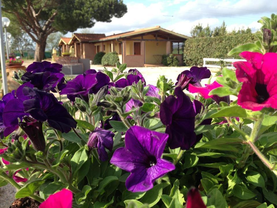 Tortuga Casa Vacanze photo 1