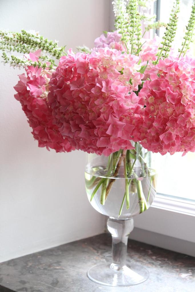 Maison St Mayeul photo 1