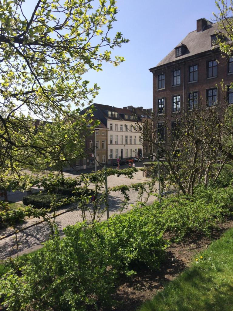 Designflats Gent photo 2