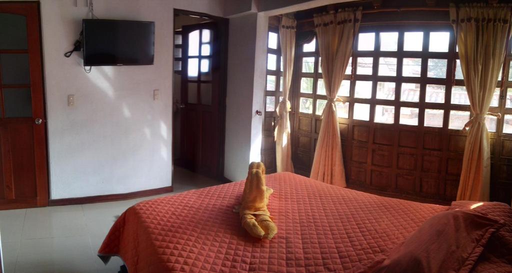 Chez Alicia Hostal photo 3