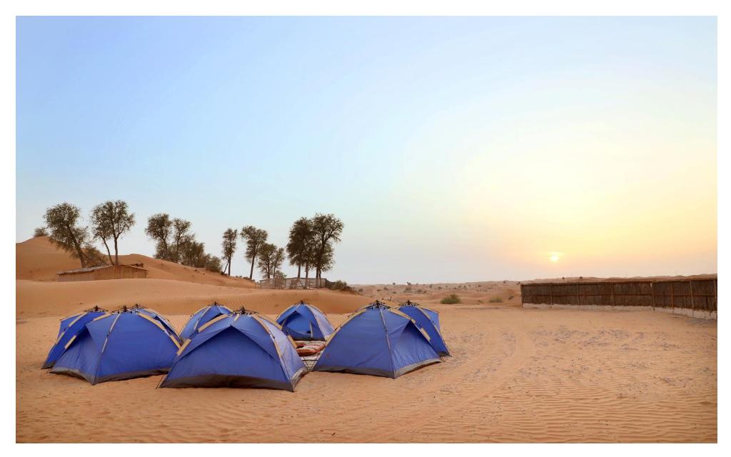 Номер (Шатер), Кемпинг Bedouin Oasis Camp