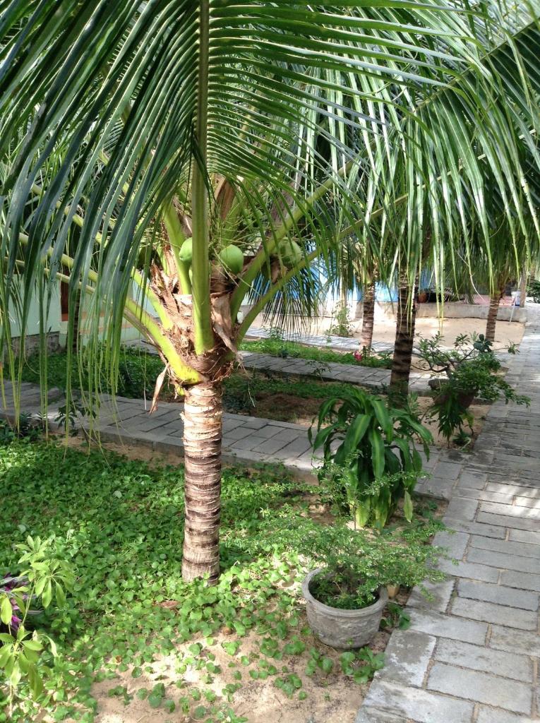 Cocosand Hotel