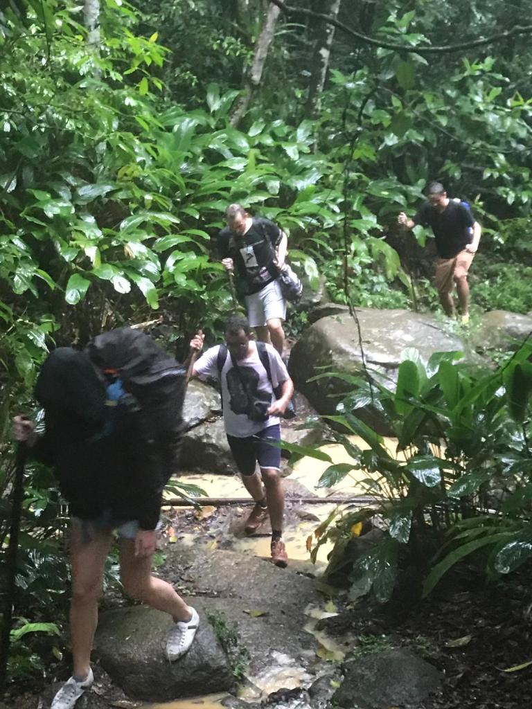 Pousada Rainforest House - Ilha Grande photo 2
