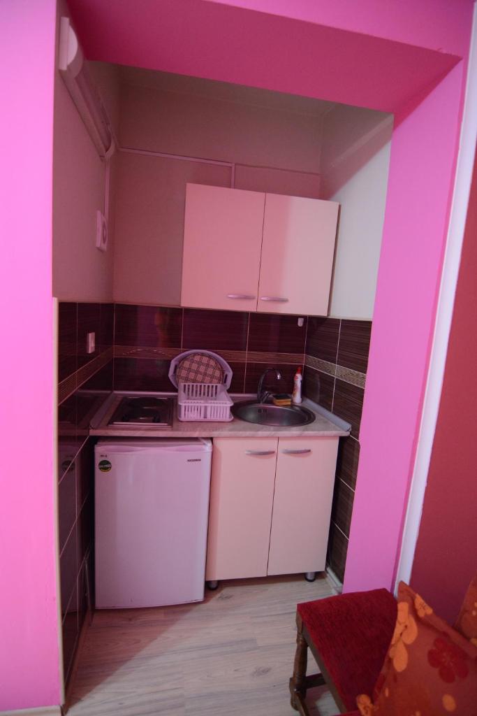 Vila Tea Petrusevski photo 4