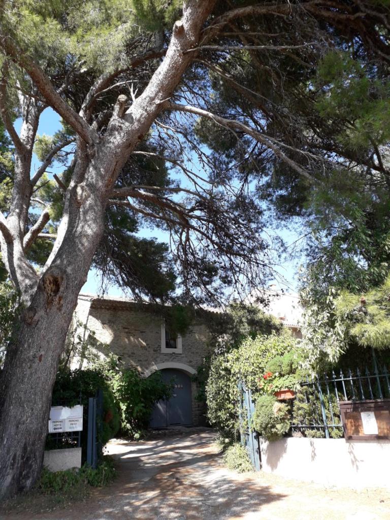 Domaine de la Pinsonnière photo 3