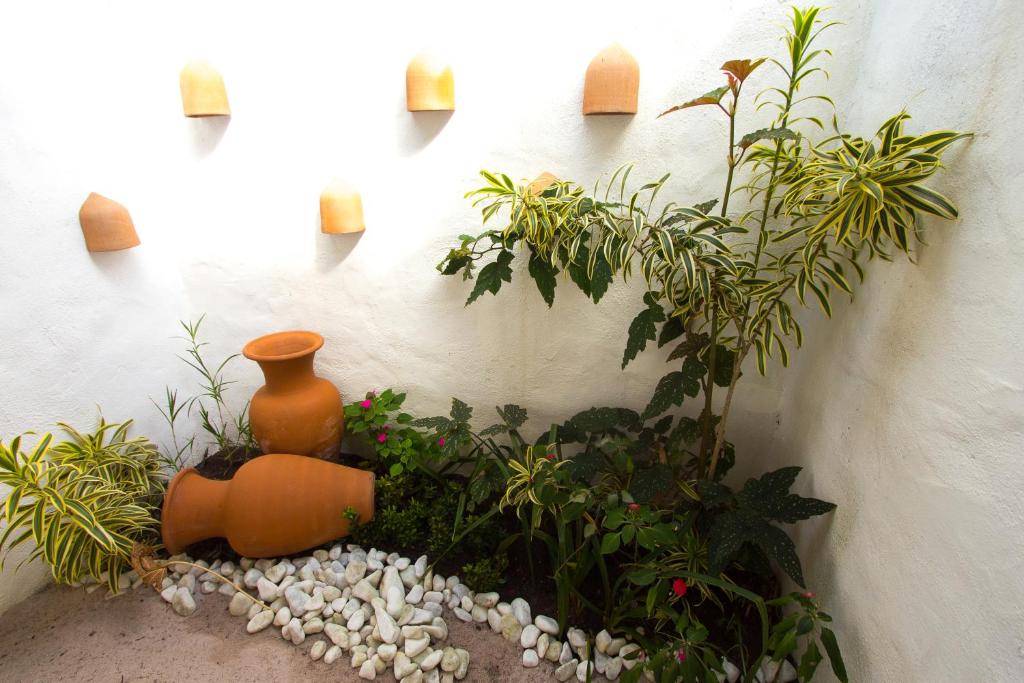 Rio Da Barra Villa Hotel photo 4