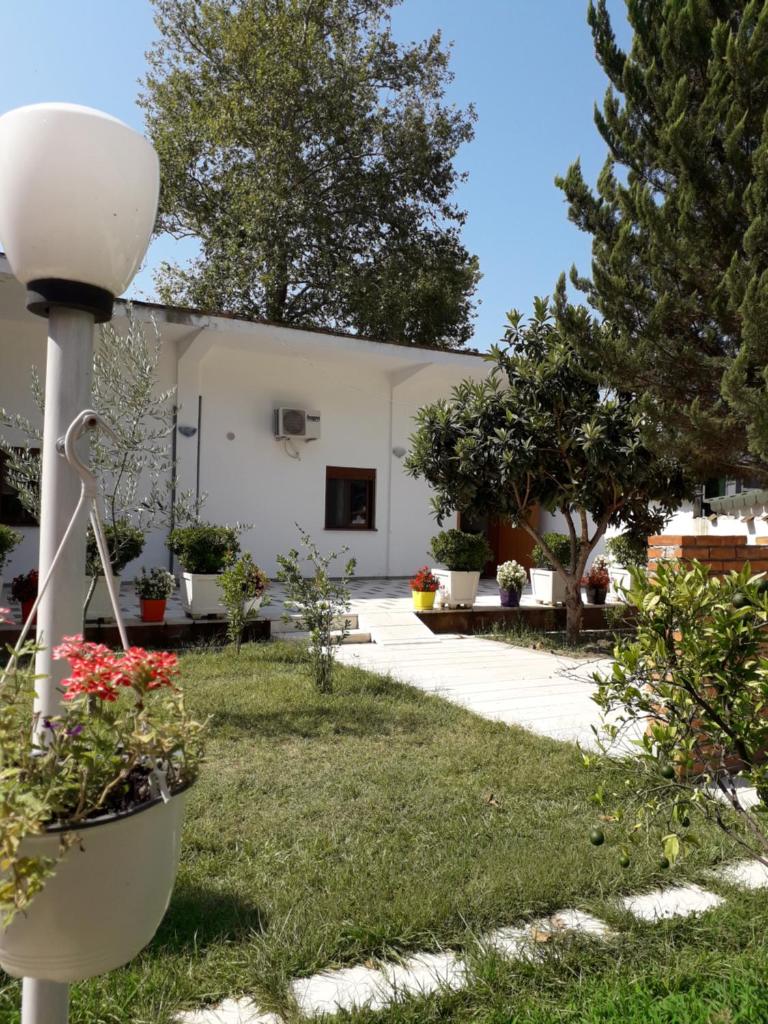 Guesthouse Villa Juri photo 3